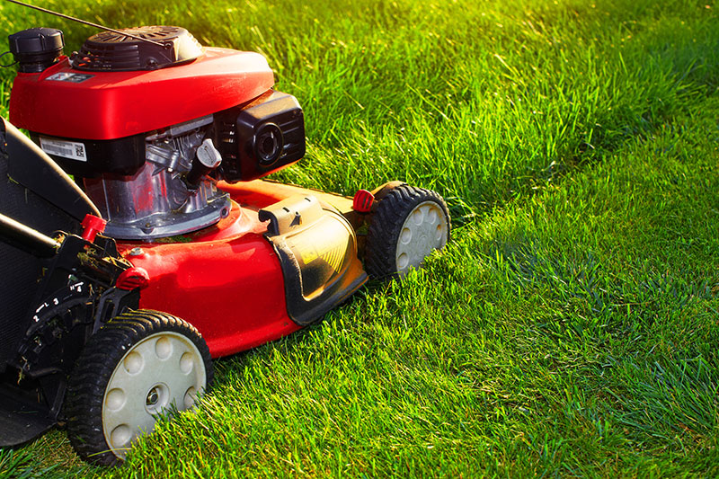 Picture of Red Lawn Mower